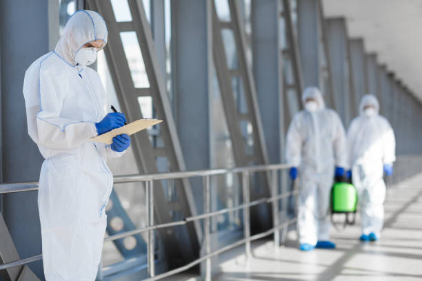 Best Environmental Consulting for Mold Prevention  in Port Wentworth, GA