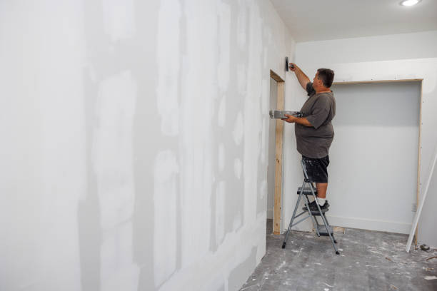 Professional Mold Removal in Port Wentworth, GA