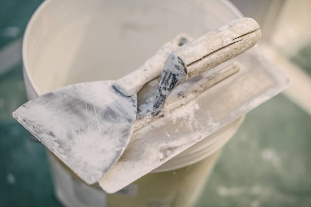 Best Basement Mold Removal  in Port Wentworth, GA